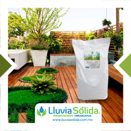Lluvia Sólida